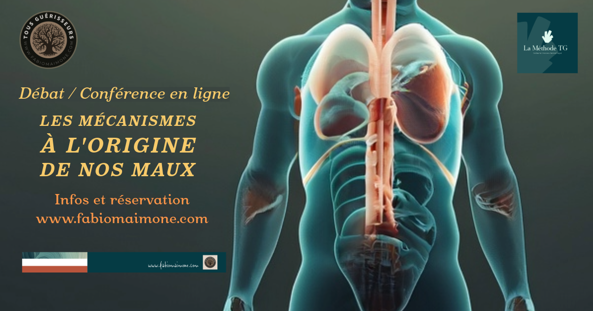 Soirée Visio — Les mécanismes à l’origine de nos maux